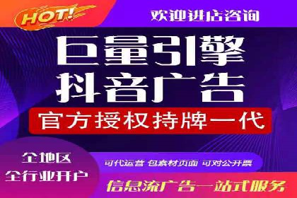 企业SEM服务实战案例解析
